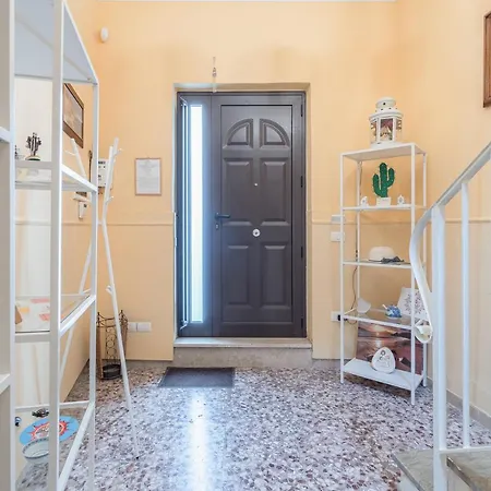 Pomona Dynamic * Noto