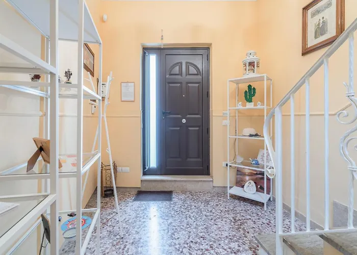 Pomona Dynamic * 诺托