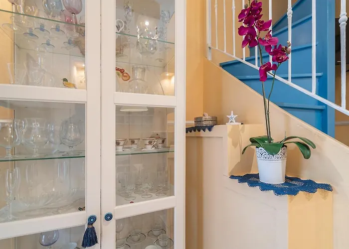 Pomona Dynamic 诺托