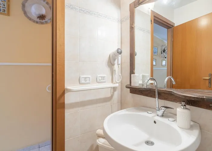 Pomona Dynamic * 诺托